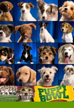 watch-Puppy Bowl