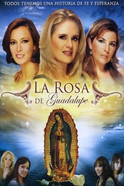 watch-La rosa de Guadalupe