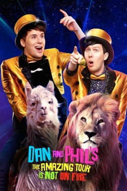 watch-Dan and Phil's The Amazing Tour is Not on Fire