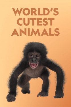 watch-World's Cutest Animals