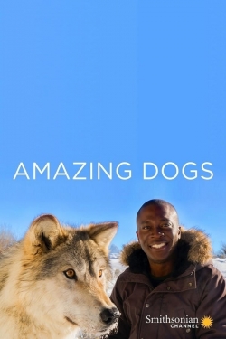 watch-Amazing Dogs