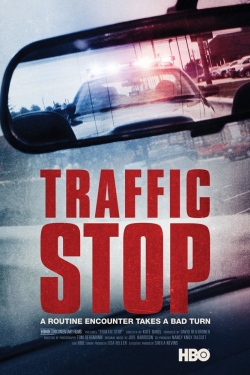 watch-Traffic Stop