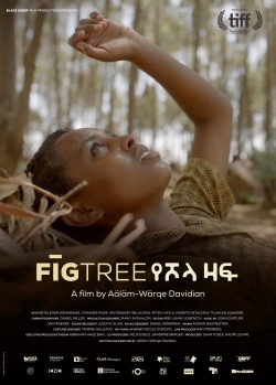 watch-Fig Tree